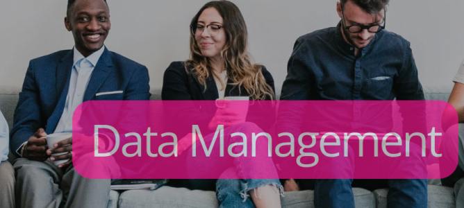 Data Management and Governance in Artificial Intelligence (AI)