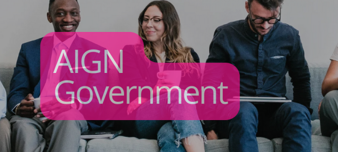 AI Governance in Governments