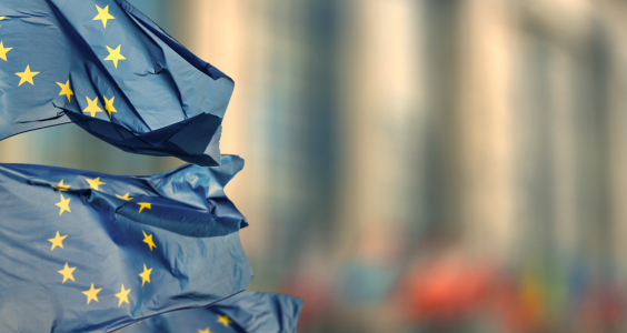 EU AI Act Compliance Framework for Companies & Developers